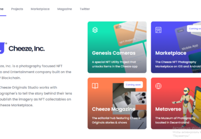 NFT, MEDIA AND ENTERTAINMENT COMPANY CHEEZE, INC. SUCCESSFULLY CLOSES SEED CAPITAL ROUND AND AIMS TO OWN THE PHOTO NFT SPACE